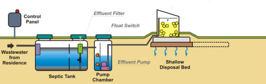 Cedar Shed Biofilter